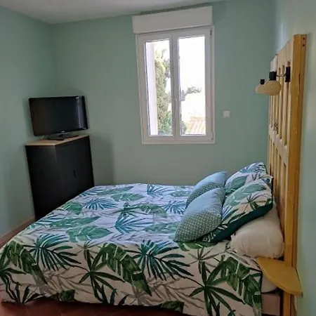 Du Mas Donat Gæstehus Perpignan